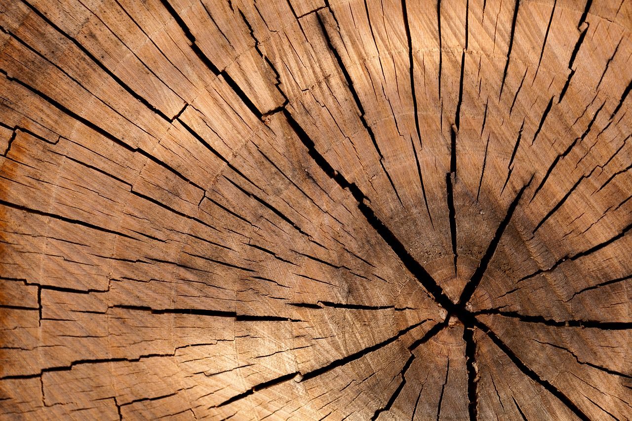 Wykończenie domu w drewnie - jak wybrać odpowiednie materiały?