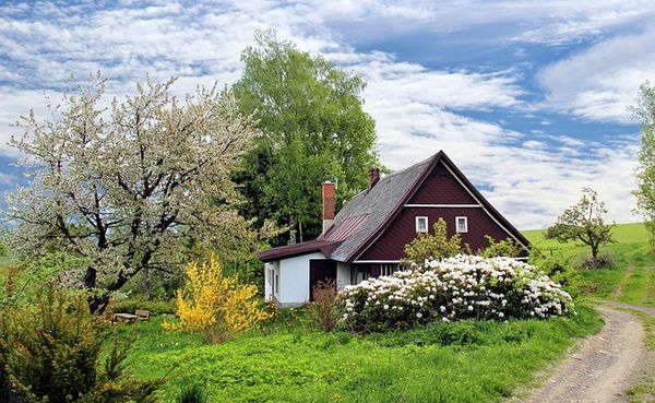Ogród jako przedłużenie domu: trendy w projektowaniu przestrzeni zewnętrznych